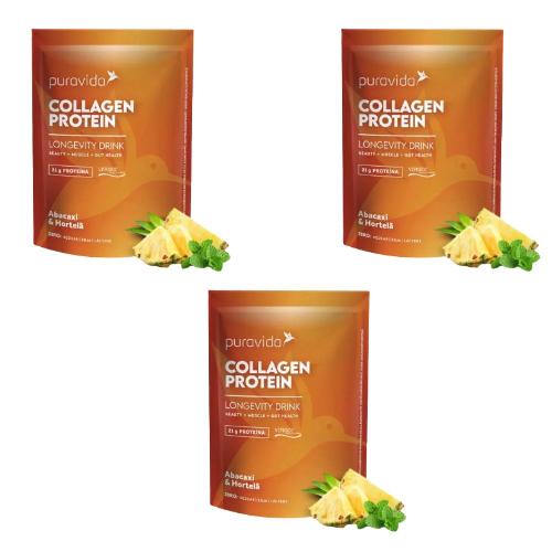 Kit 3 Collagen Protein Abacaxi e Hortelã 450G Puravida