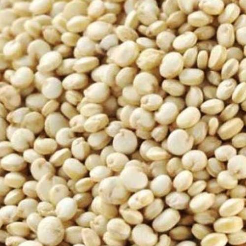 Quinoa em Grãos 100g