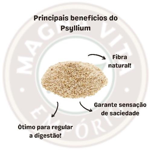 Psyllium 100g