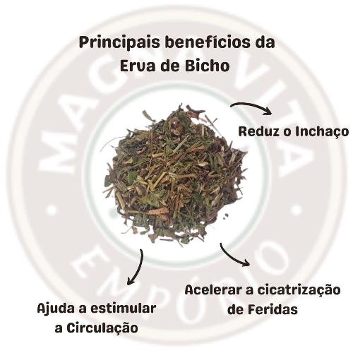 Chá de Erva de Bicho 30g Magna Vita